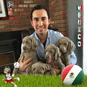 Meet your Posher, Sandy